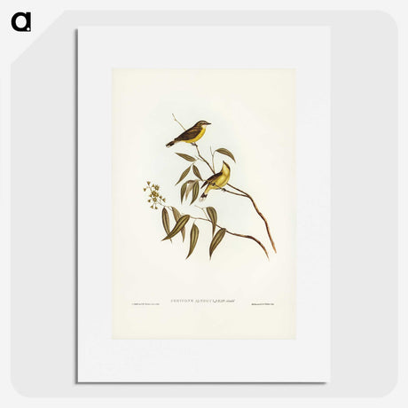 3-8_John-Gould_picture