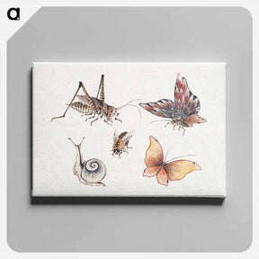 アートパネル-Katsushika Hokusai's insects - 葛飾 北斎 Canvas.