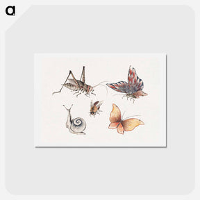 アートポストカード-Katsushika Hokusai's insects - 葛飾 北斎 Postcard.