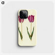 3-8_Maria-Sibylla-Merian_phone