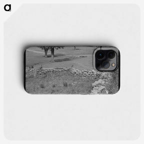 3-8_Marion-Post-Wolcott_phone