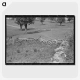 3-8_Marion-Post-Wolcott_picture-crop