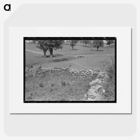 3-8_Marion-Post-Wolcott_picture
