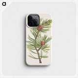 3-8_Mary-Vaux-Walcott_phone