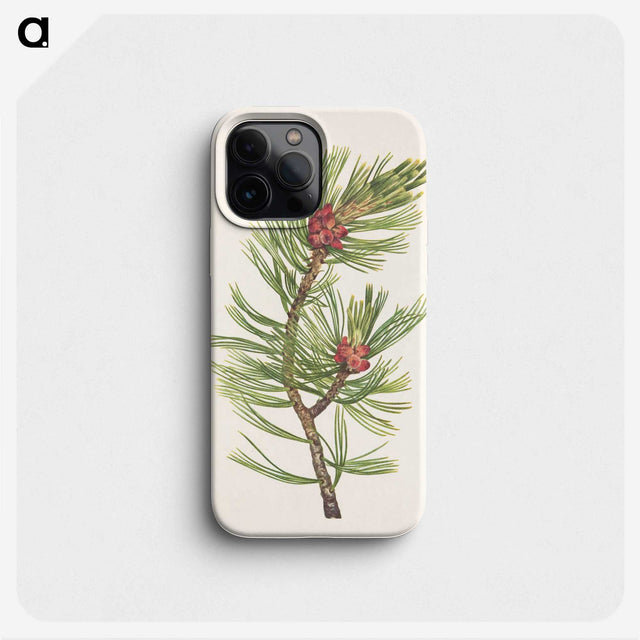 3-8_Mary-Vaux-Walcott_phone