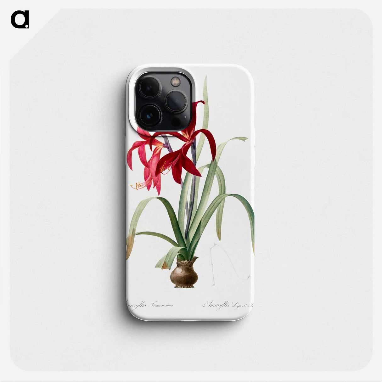 Sprekelia - ピエール ジョゼフ ルドゥーテ Phone Case.