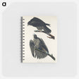 アートメモ帳-Labrador Falcon from Birds of America
 - アメリカの鳥たち Memo.