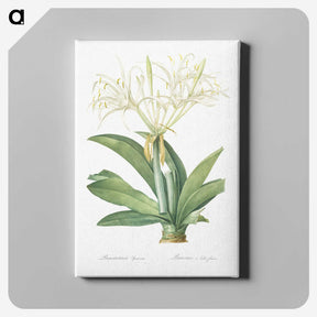 3-8_The-Lilies_canvas