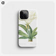 3-8_The-Lilies_phone