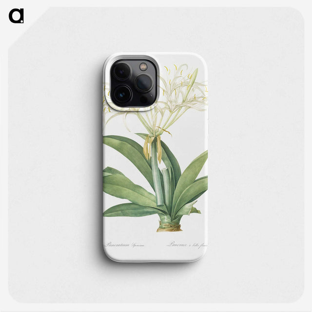 3-8_The-Lilies_phone