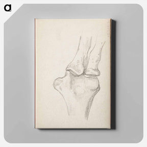 アートパネル-(unknown) part of a sketchbook - アルバート エーデルフェルト Canvas.