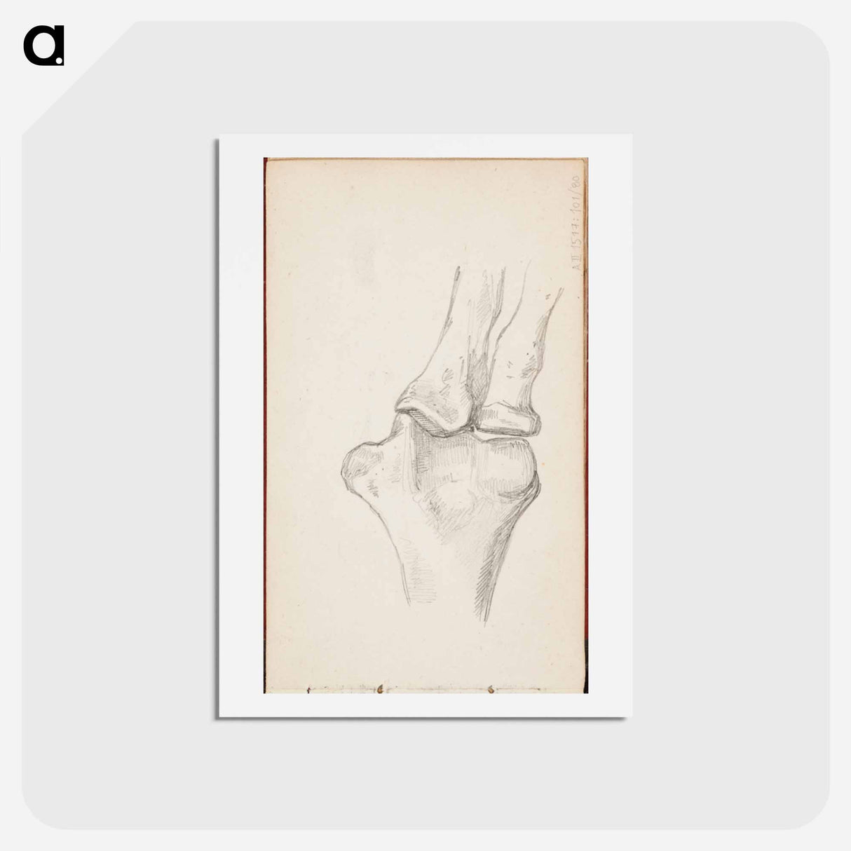 アートポストカード-(unknown) part of a sketchbook - アルバート エーデルフェルト Postcard.