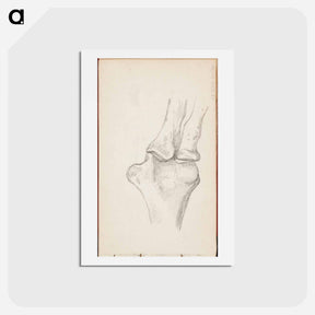 アートポストカード-(unknown) part of a sketchbook - アルバート エーデルフェルト Postcard.