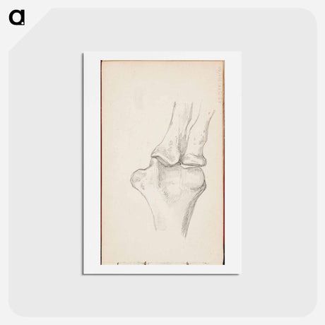 アートポストカード-(unknown) part of a sketchbook - アルバート エーデルフェルト Postcard.