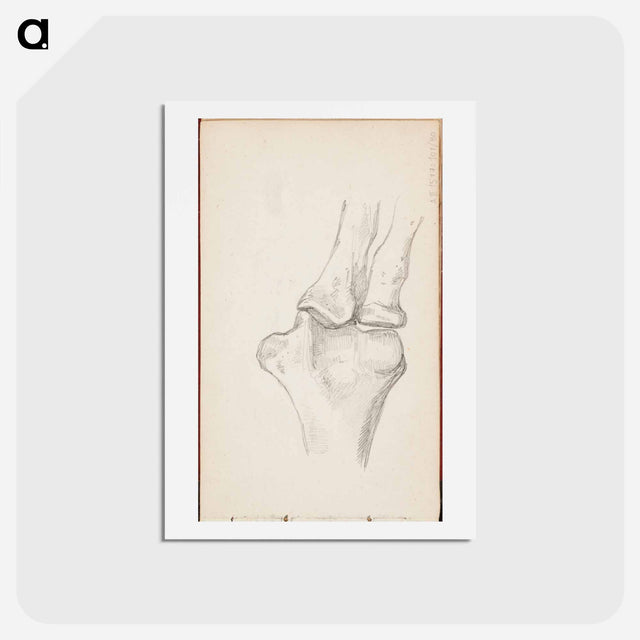 アートポストカード-(unknown) part of a sketchbook - アルバート エーデルフェルト Postcard.
