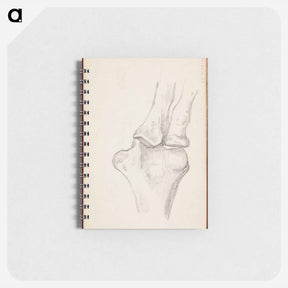 アートメモ帳-(unknown) part of a sketchbook - アルバート エーデルフェルト Memo.