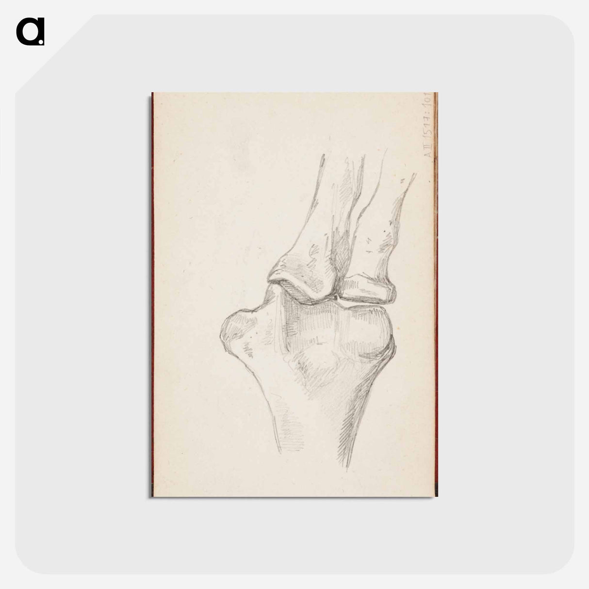 アートポストカード-(unknown) part of a sketchbook - アルバート エーデルフェルト Postcard.