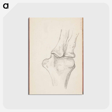 アートポストカード-(unknown) part of a sketchbook - アルバート エーデルフェルト Postcard.
