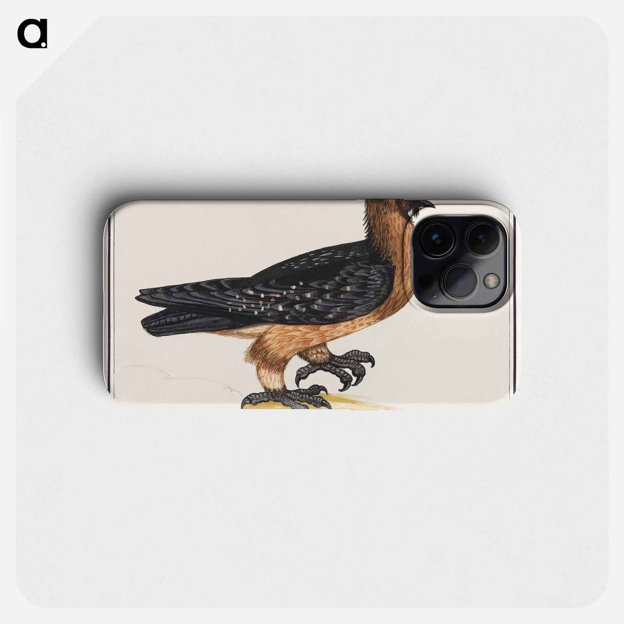 Bearded vulture - アンセルムス ボエティウス デ ブート Phone Case.