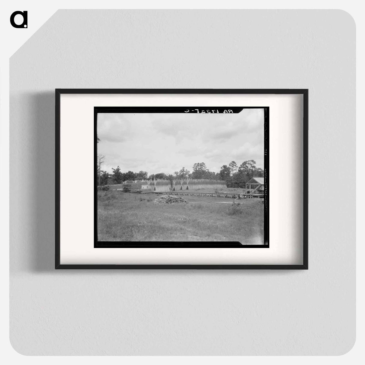 Lumber mill in the piney woods, showing dry stacking. Texas. - Dorothea Lange Poster.