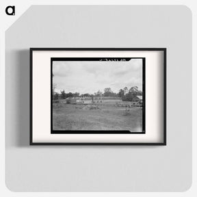アートポスター-Lumber mill in the piney woods, showing dry stacking. Texas. - ドロテア ラング Poster.