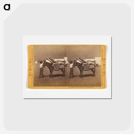 アートポストカード-Bringing in the Wounded after an Engagement
 - エドワード マイブリッジ Postcard.