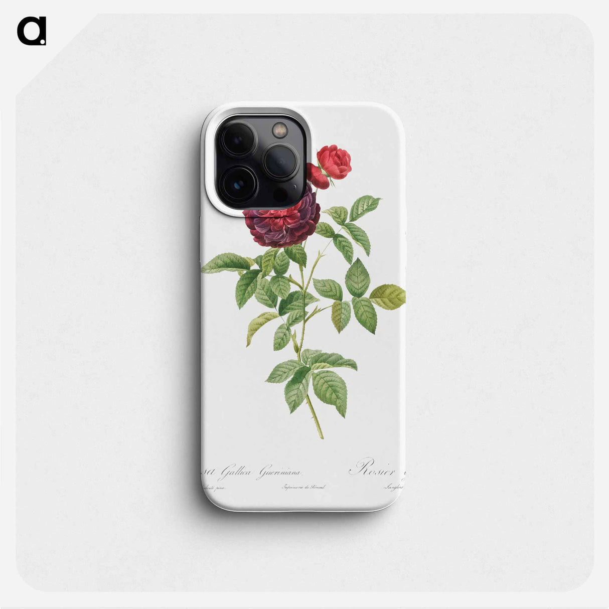 Guerin's Rose - ピエール ジョゼフ ルドゥーテ Phone Case.