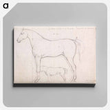 アートパネル-Anatomical Study of a Horse, Founded on `Eclipse'
 - イェール大学アートギャラリー Canvas.