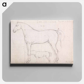 アートパネル-Anatomical Study of a Horse, Founded on `Eclipse'
 - イェール大学アートギャラリー Canvas.