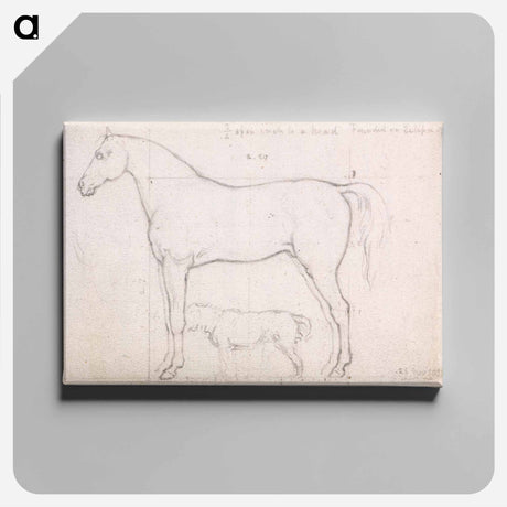 アートパネル-Anatomical Study of a Horse, Founded on `Eclipse'
 - イェール大学アートギャラリー Canvas.