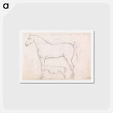 アートポストカード-Anatomical Study of a Horse, Founded on `Eclipse'
 - イェール大学アートギャラリー Postcard.