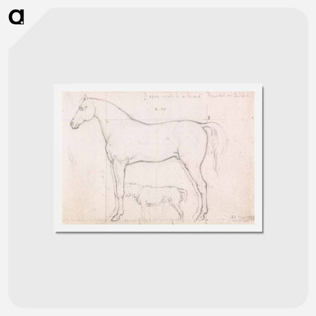 アートポストカード-Anatomical Study of a Horse, Founded on `Eclipse'
 - イェール大学アートギャラリー Postcard.