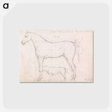 アートポストカード-Anatomical Study of a Horse, Founded on `Eclipse'
 - イェール大学アートギャラリー Postcard.