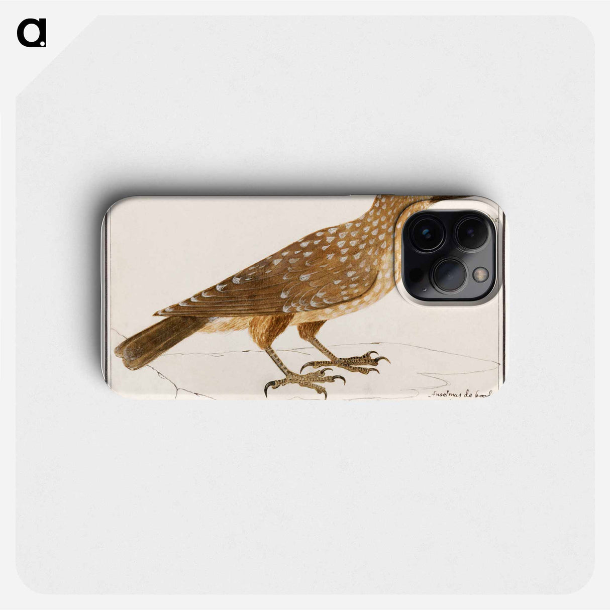 Nutcracker - アンセルムス ボエティウス デ ブート Phone Case.