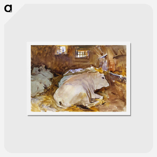 Oxen - ジョン シンガー サージェント Postcard.