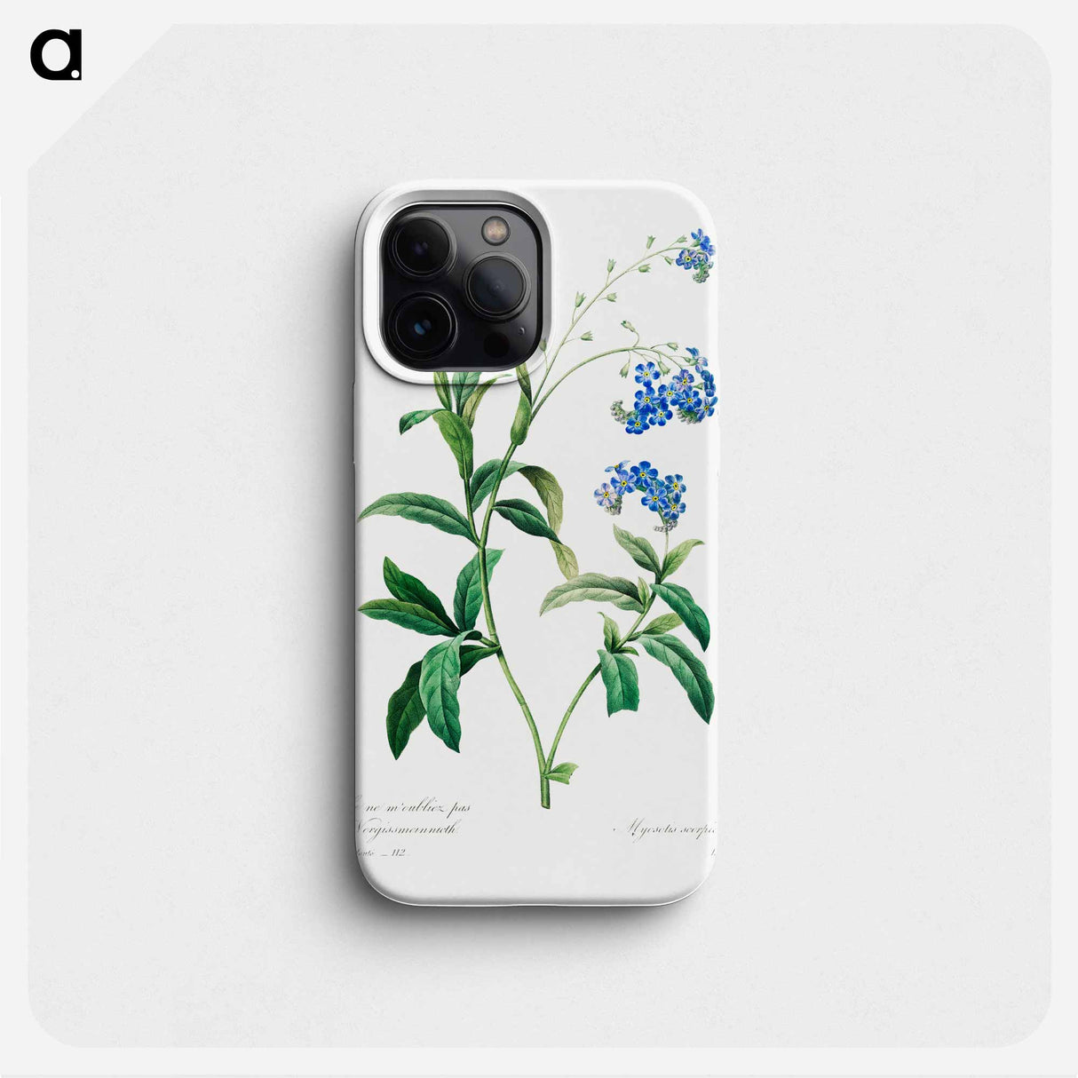 Forget me not - ピエール ジョゼフ ルドゥーテ Phone Case.