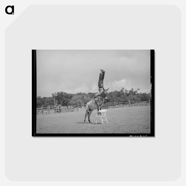 アートポストカード-Clown Rider at Quemado Rodeo
 - ラッセル リー Postcard.