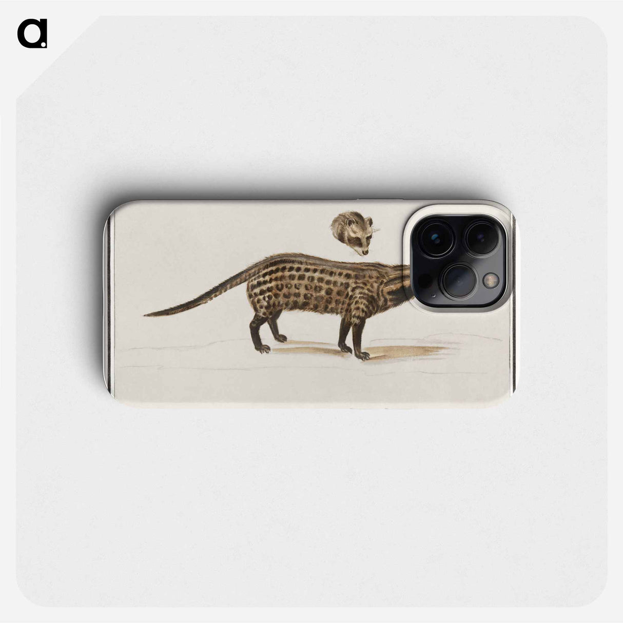 Civet cat, Viverra - アンセルムス ボエティウス デ ブート Phone Case.