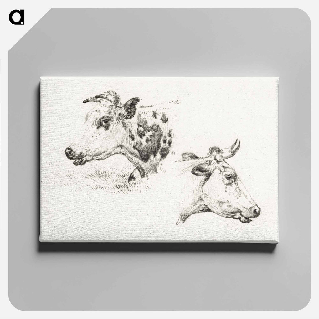 アートパネル-Two studies of the head of a cow - ジャン ベルナール Canvas.