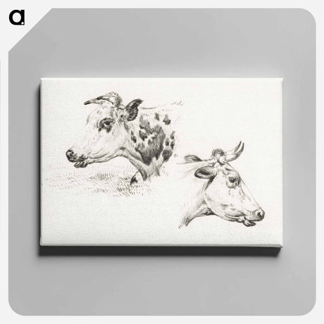 アートパネル-Two studies of the head of a cow - ジャン ベルナール Canvas.