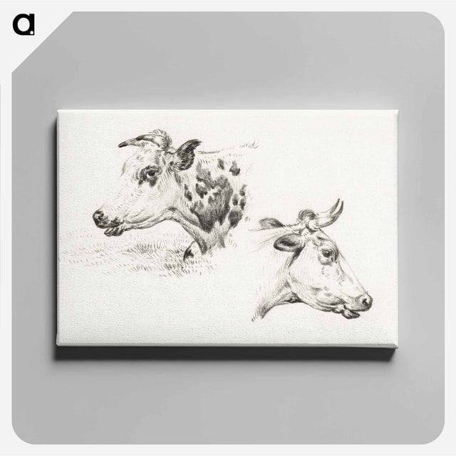 アートパネル-Two studies of the head of a cow - ジャン ベルナール Canvas.