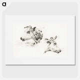 Two studies of the head of a cow - ジャン ベルナール Poster.