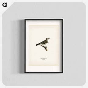 アートポスター-Tree Pipit
 - スヴェンスカ フォグラル Poster.