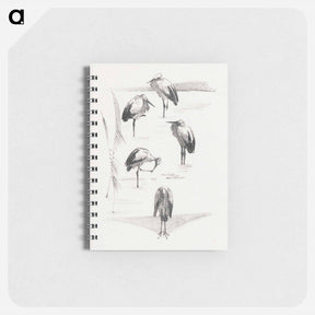 アートメモ帳-Wenskaart met vijf ooievaars - テオ ヴァン ホイテマ Memo.