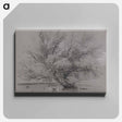 アートパネル-Pond with Willow Tree and Ducks
 - イェール大学アートギャラリー Canvas.