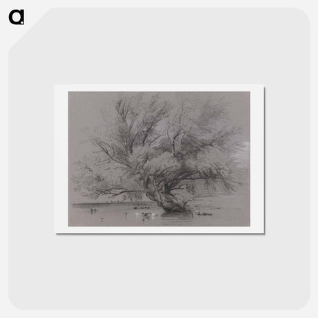 アートポストカード-Pond with Willow Tree and Ducks
 - イェール大学アートギャラリー Postcard.