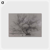 アートポストカード-Pond with Willow Tree and Ducks
 - イェール大学アートギャラリー Postcard.