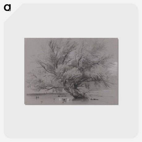 アートポストカード-Pond with Willow Tree and Ducks
 - イェール大学アートギャラリー Postcard.