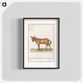 アートポスター-Mule - アンセルムス ボエティウス デ ブート Poster.