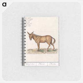 アートメモ帳-Mule - アンセルムス ボエティウス デ ブート Memo.